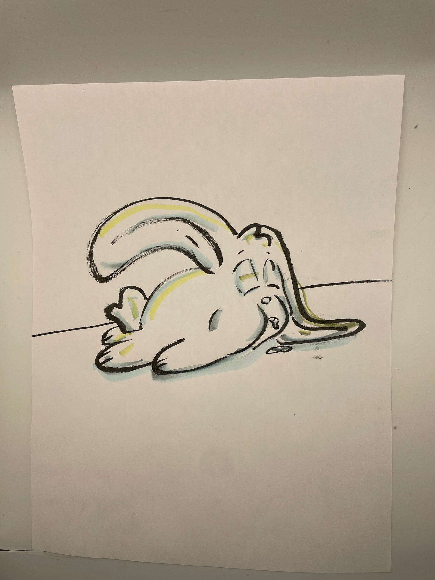 Bunny