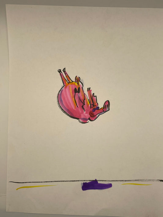 Flying Pig