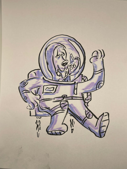 Cat & Dog Astronauts