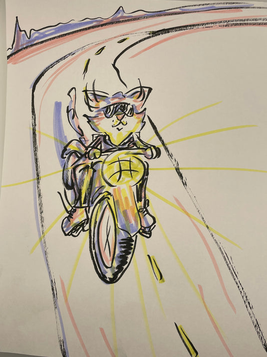 Cat on Motorbike