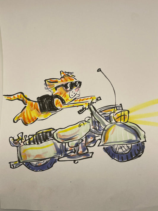 Cat on Motorcycle