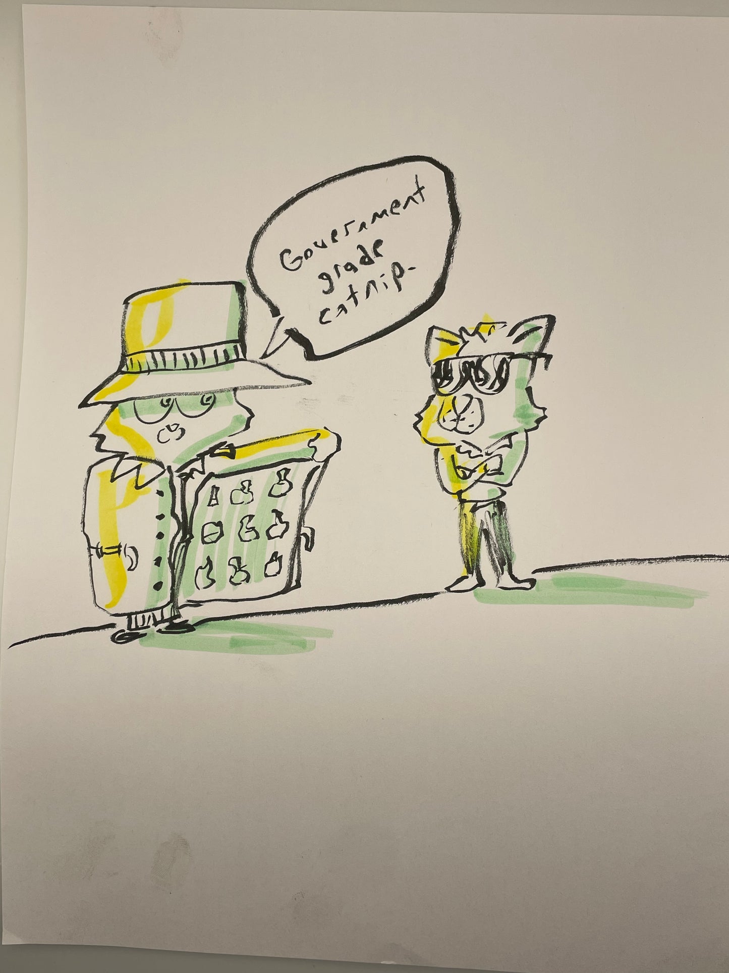 Catnip For Sale