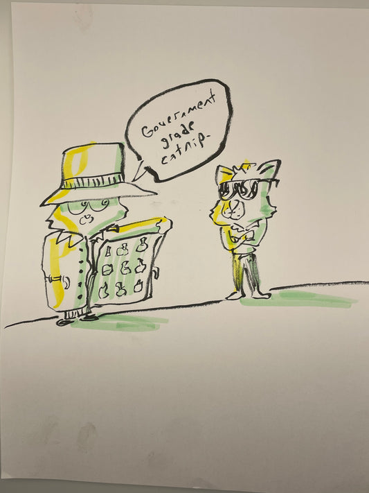 Catnip For Sale